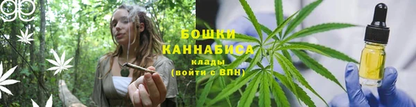 крисы Арсеньев